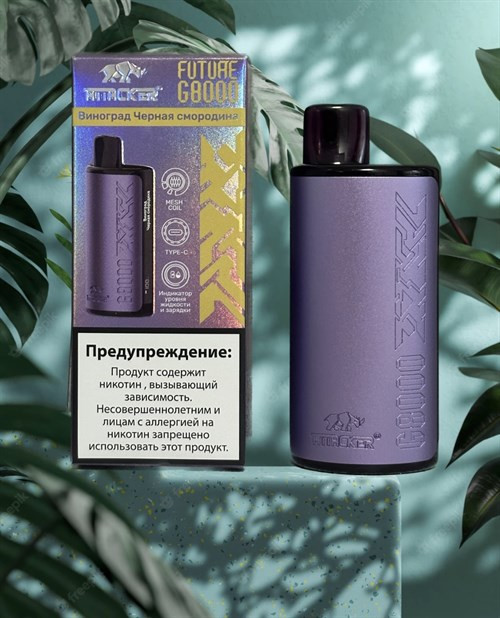 Кликните для увеличения изображения